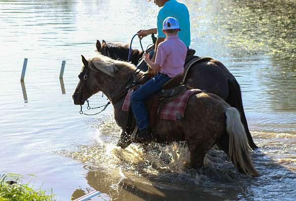 athletic-pony