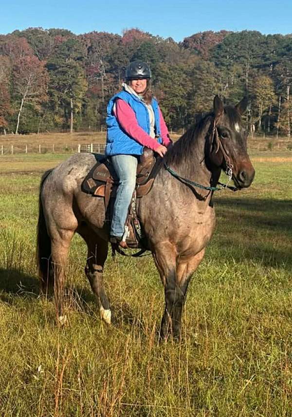 ridden-western-quarter-horse