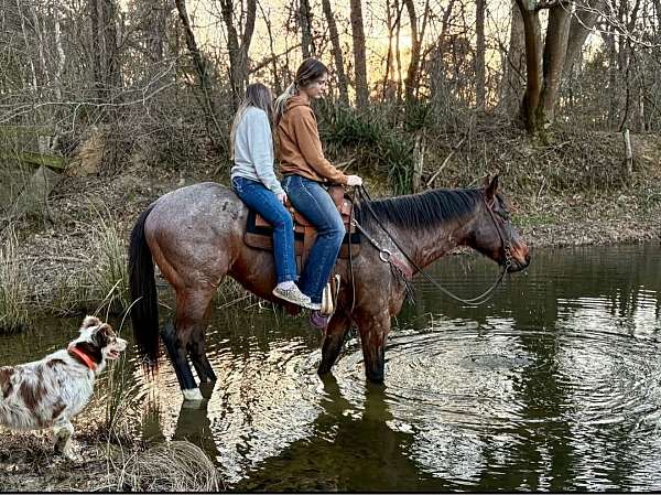 roping-quarter-horse