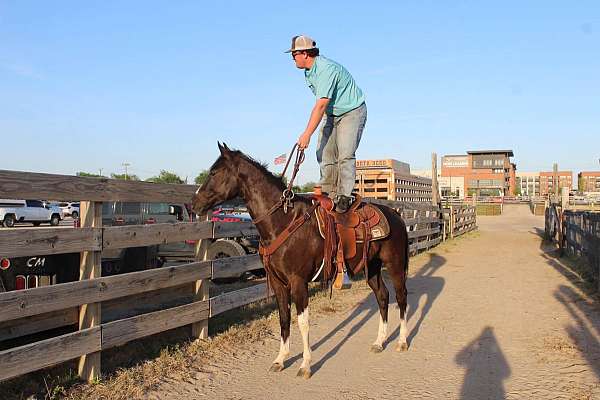 trail-riding-paint-horse