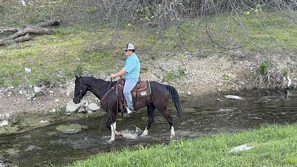 western-riding-paint-horse
