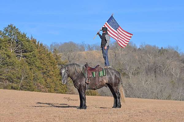 ranch-versatility-draft-horse