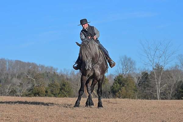 ranch-work-draft-horse