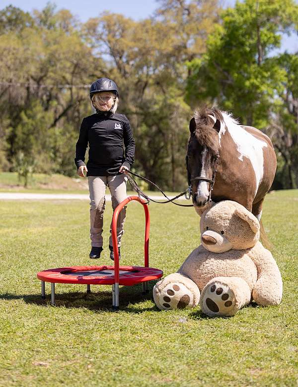 jumping-welsh-pony