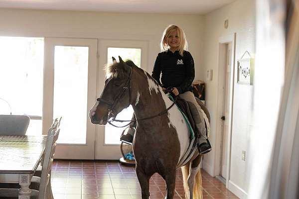 kid-safe-welsh-pony