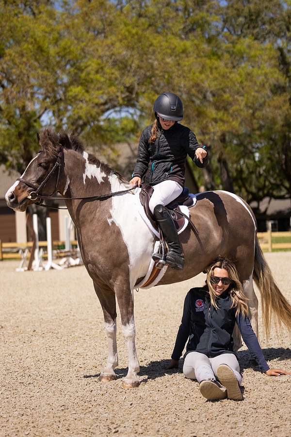 trail-riding-welsh-pony