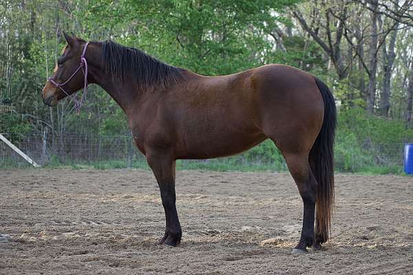 6-mare
