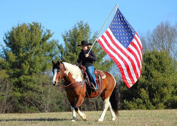cross-draft-horse