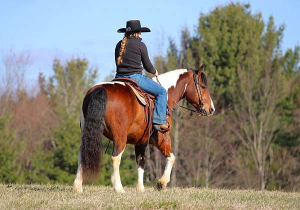 ranch-draft-horse