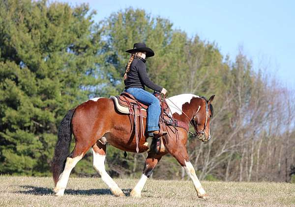 ranch-versatility-draft-horse