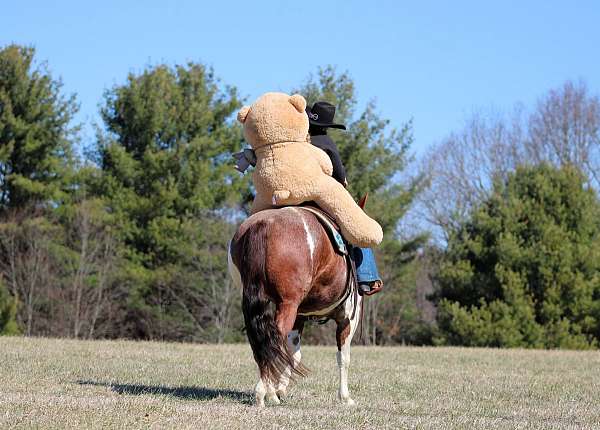 calf-roping-paint-horse