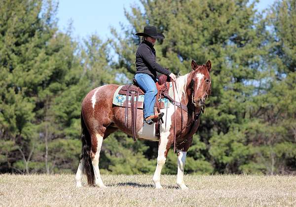 flashy-paint-horse