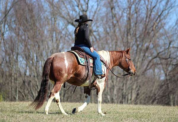 husband-safe-paint-horse