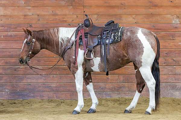kid-safe-paint-horse