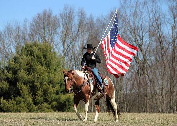 ranch-work-paint-horse
