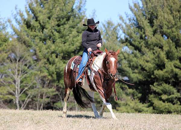 trail-riding-paint-horse