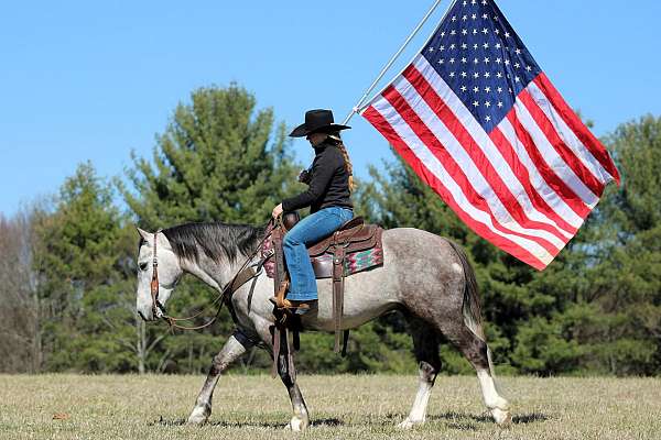 cross-draft-horse