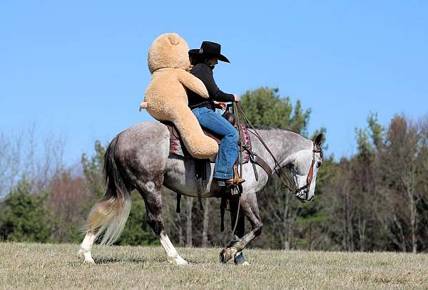 draft-horse