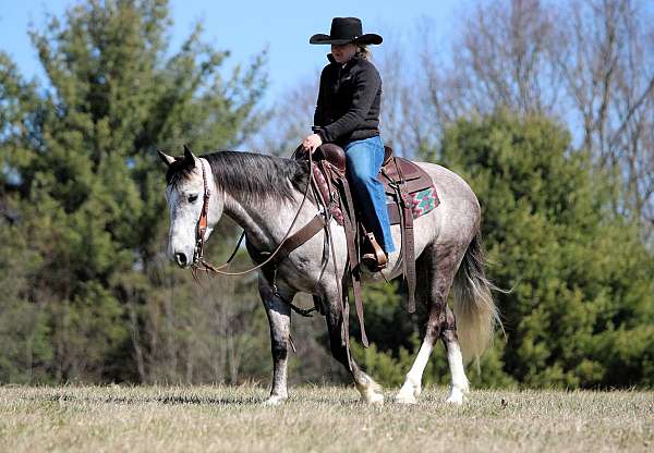 trail-riding-draft-horse