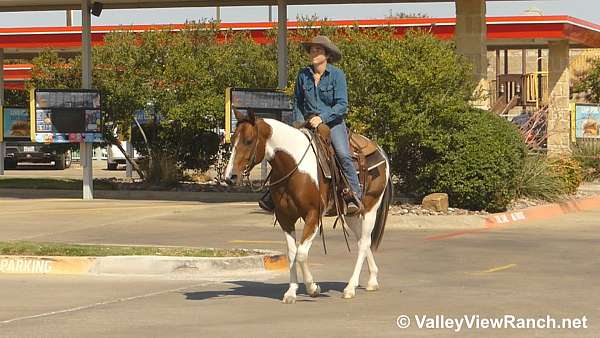 ridden-western-paint-horse