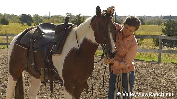 trail-paint-horse