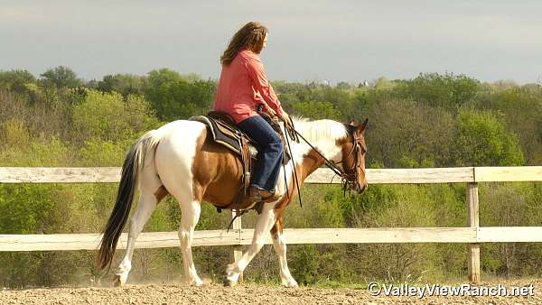 trail-riding-paint-horse