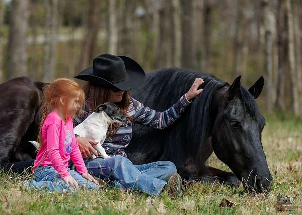 black-athletic-horse