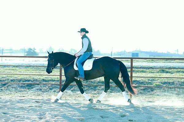 ranch-work-draft-horse