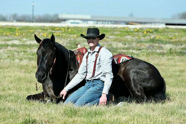 trail-riding-draft-horse
