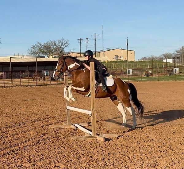 athletic-paint-horse