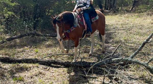 ranch-work-paint-horse