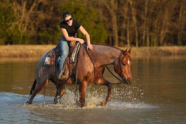 roping-quarter-pony