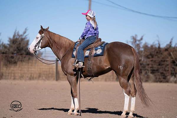 athletic-quarter-pony