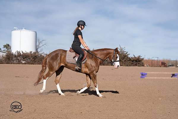 performance-quarter-pony