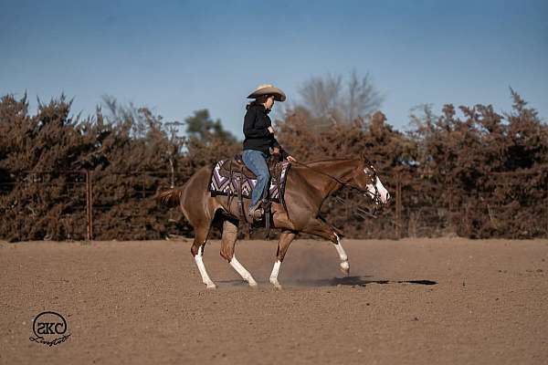 ridden-western-quarter-pony
