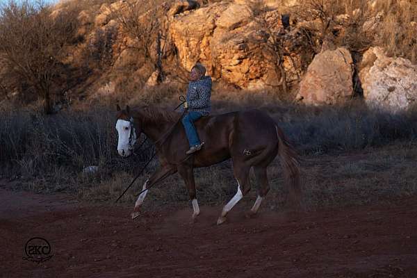 roping-quarter-pony