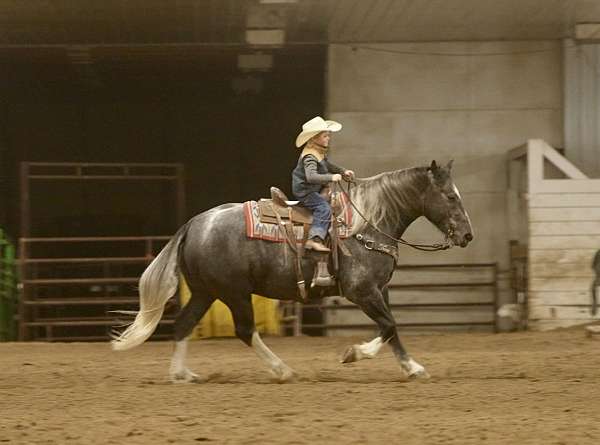 driving-draft-horse