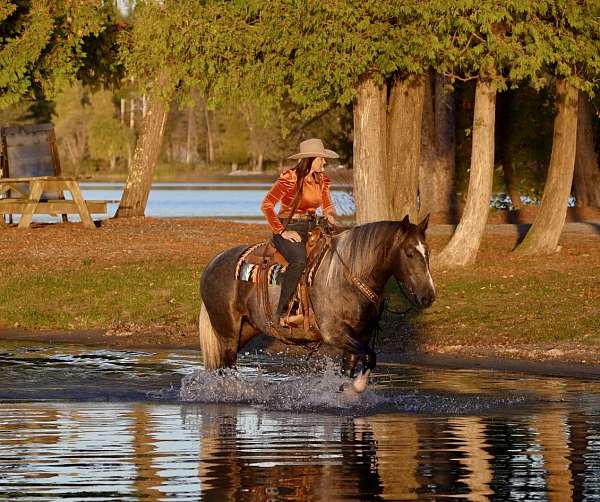 ranch-work-draft-horse