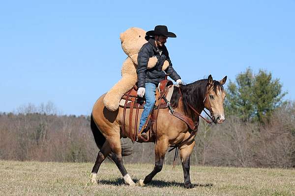 reining-quarter-horse