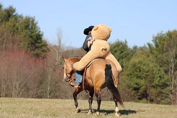roping-quarter-horse