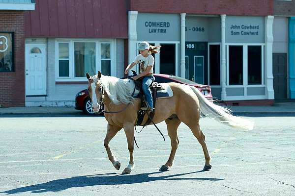 flashy-quarter-horse