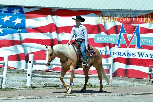 kid-safe-quarter-horse