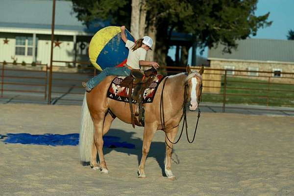ranch-versatility-quarter-horse