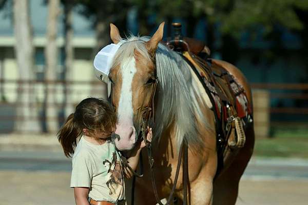working-cattle-quarter-horse
