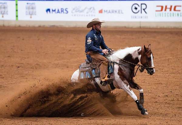 athletic-paint-horse
