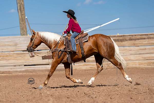 jumping-quarter-pony
