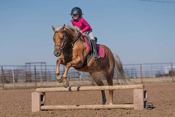 ranch-versatility-quarter-pony