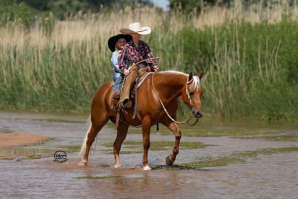 ranch-work-quarter-pony