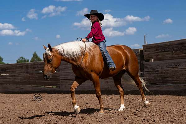 ridden-english-quarter-pony