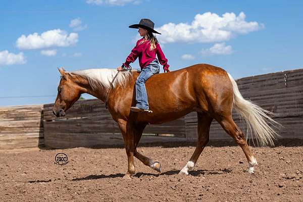 ridden-western-quarter-pony